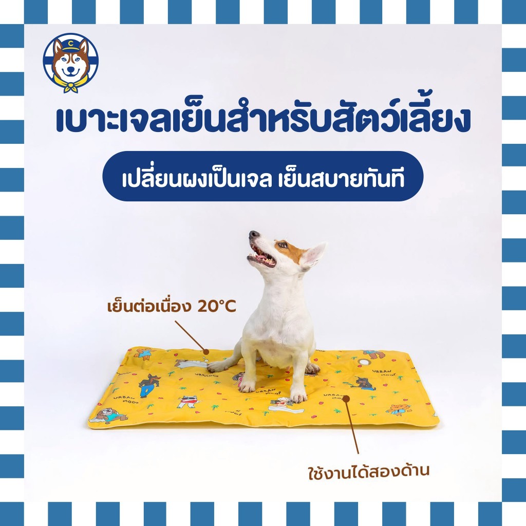 Pet Cooling Mat แผ่นเก็บความเย็นสำหรับสัตว์เลี้ยง (Urban Moof)