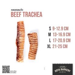 Hoya - หลอดลมวัว Beef Trachea